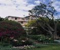 Groote Shuur Hospital garden