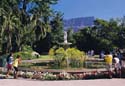 Company Gardens in the centre of Cape Town