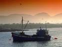 Fishing Boat from the Hout Bay Harbour