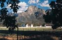 Jonkershoek Mountains in the background