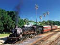 Steam Train on the Garden route