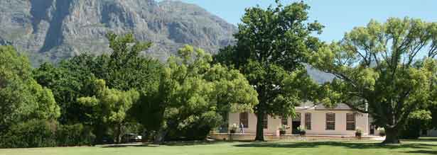 Cape Town Wine Tasting at Boschendal